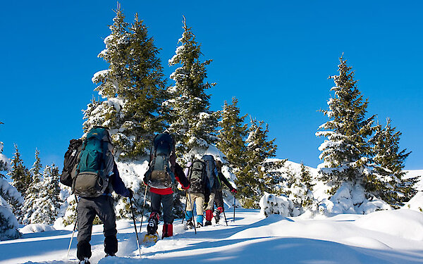 Schneeschuhwandern im Bayerischen Wald